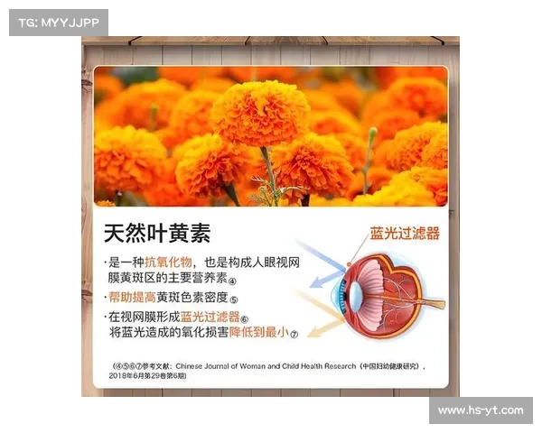 化整为零视角下星系形成机制的深度解析与研究 化整为零视角下星系形成机制的深度解析与研究