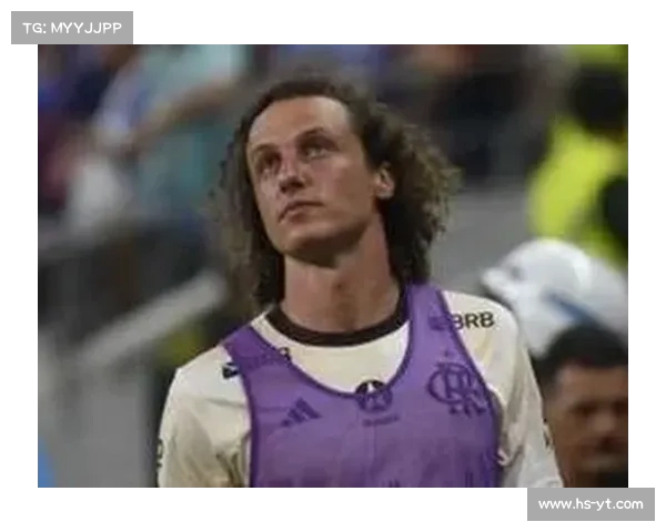 全面解析大卫路易斯在球队中的四大关键球场职责