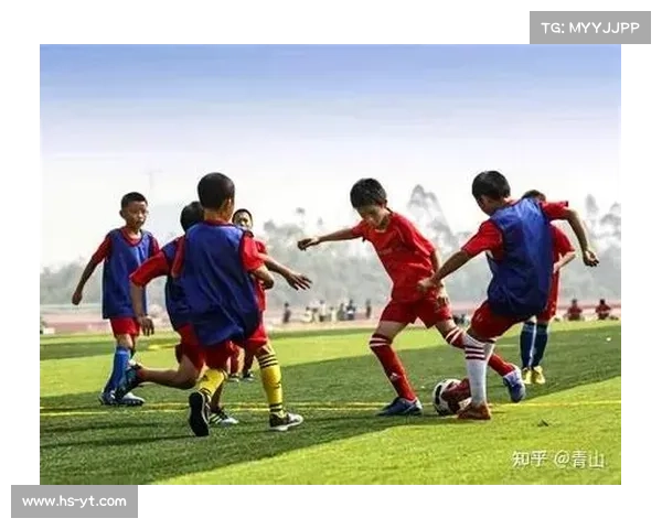 探究中国足球与巴西足球历史差异的深度比较路径全景式分析框架法